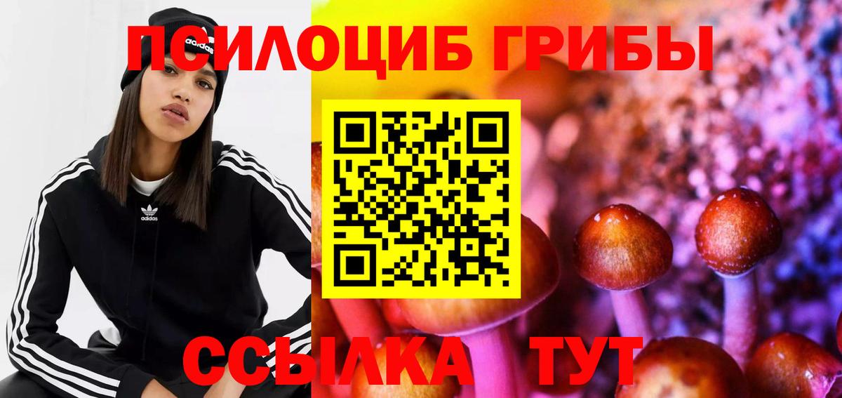 Псилоцибиновые грибы мухоморы Гудермес